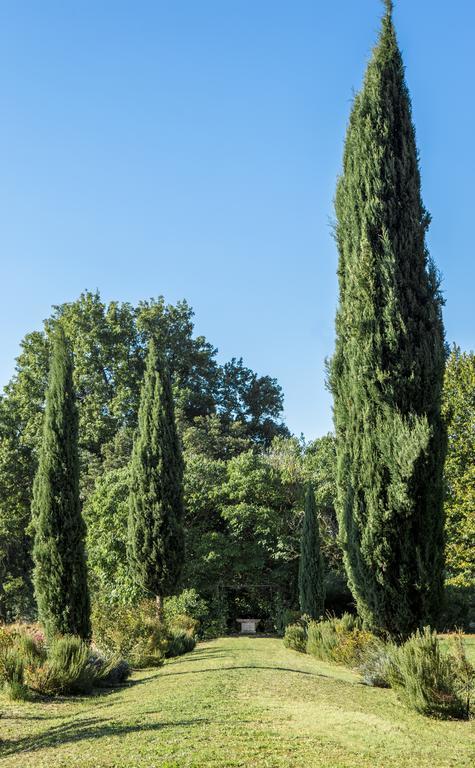 Villa Pandolfi Elmi Spello Exterior photo